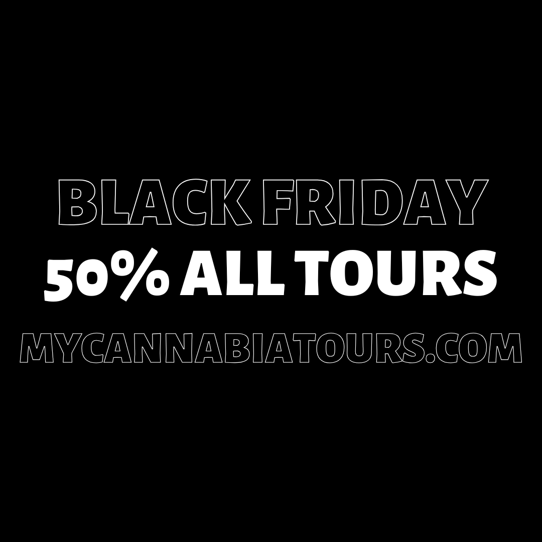Black Friday promotional graphic with bold white text on a black background that reads ‘Black Friday – 50% All Tours – mycannabiatours.com.