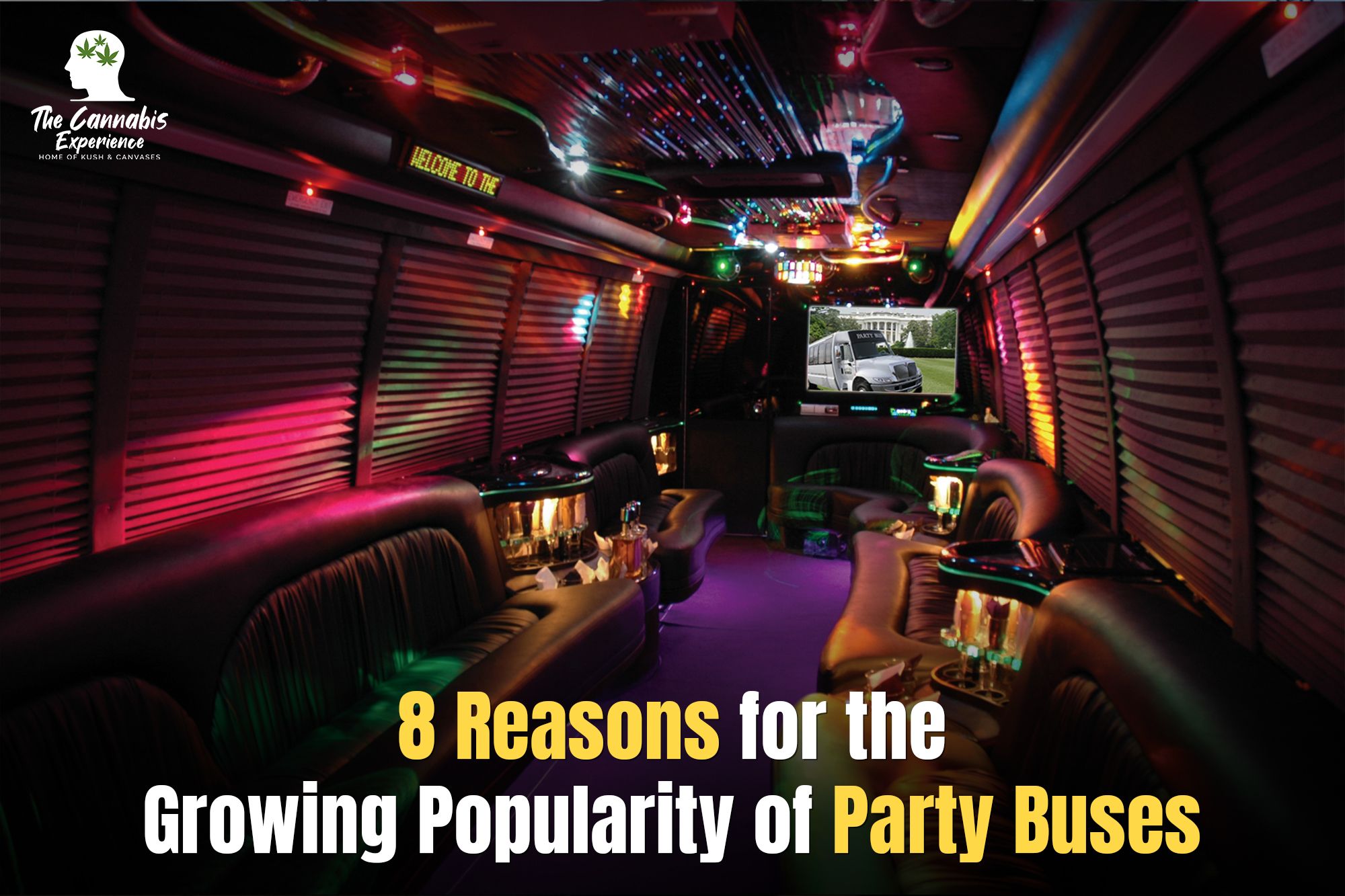 Popularity of Party Buses