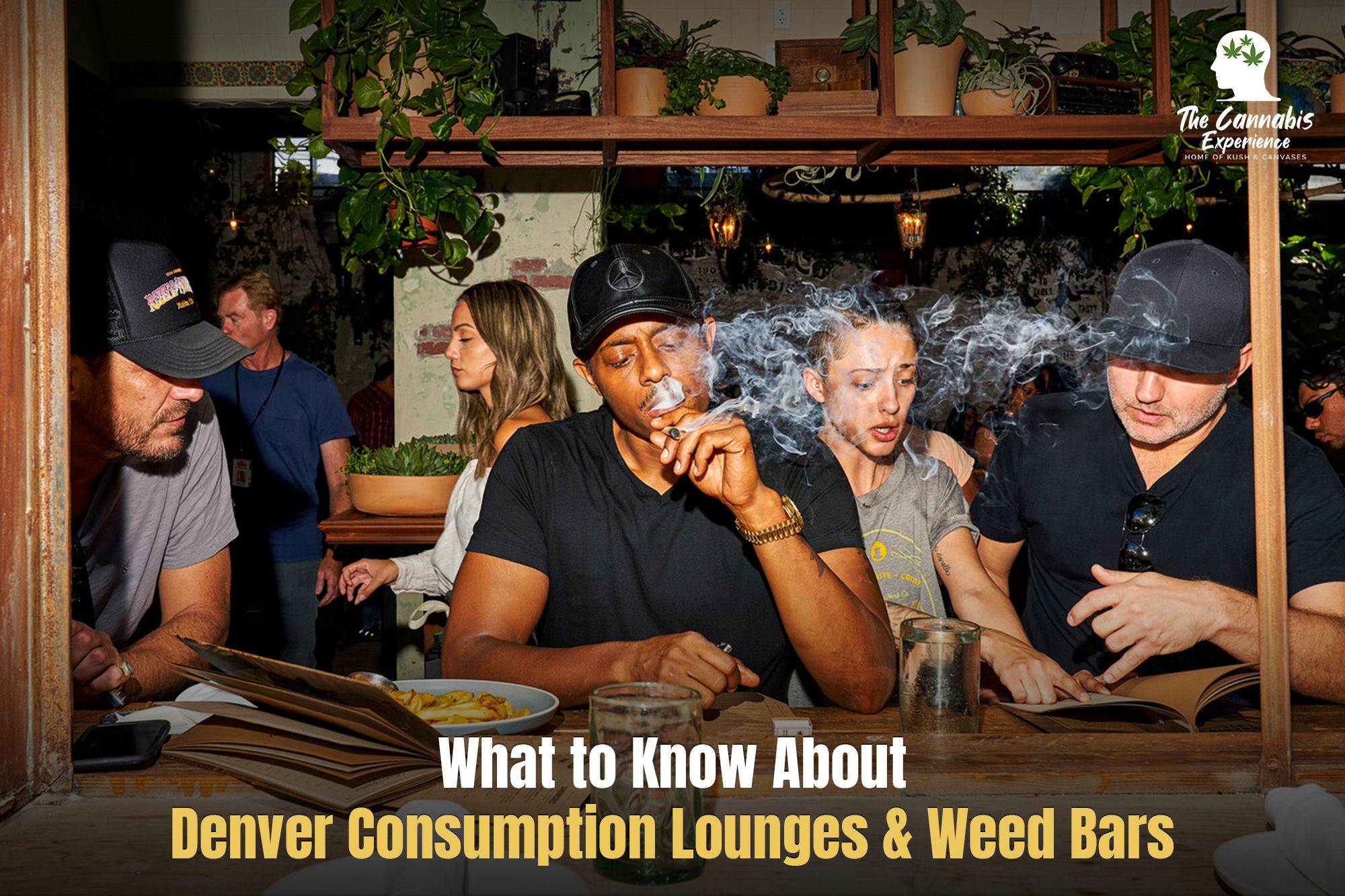 Lounges and Weed Bars