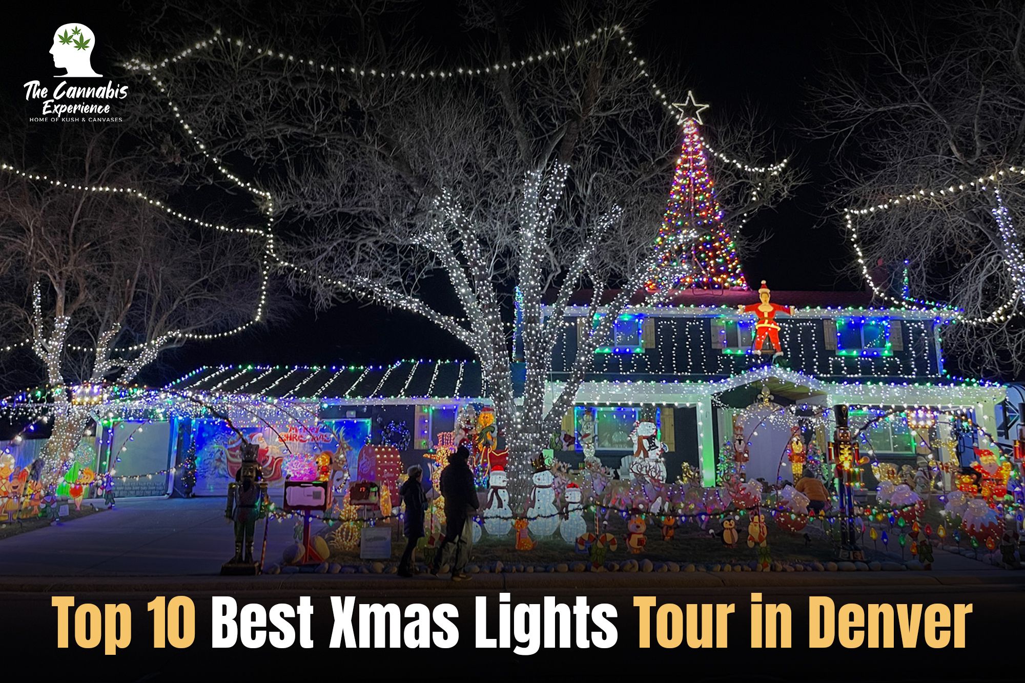 Xmas Lights Tour