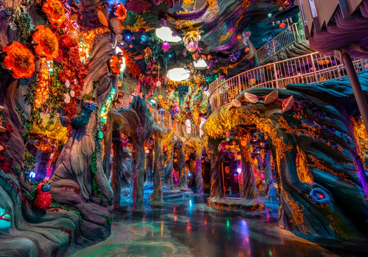 Immersive Art Exhibit